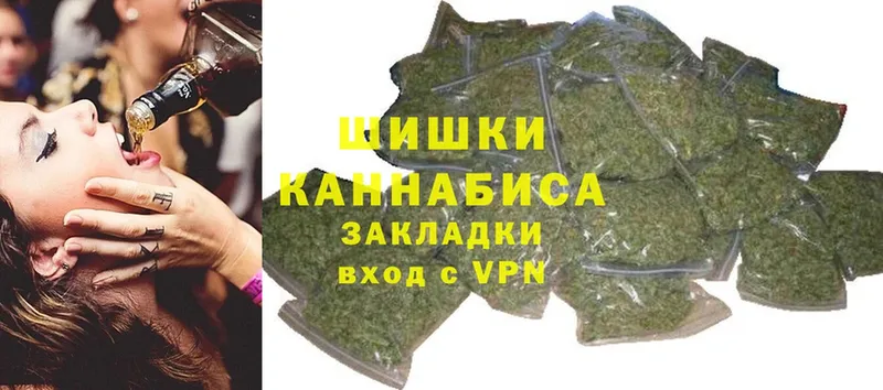 Канабис SATIVA & INDICA  купить закладку  Камышлов 